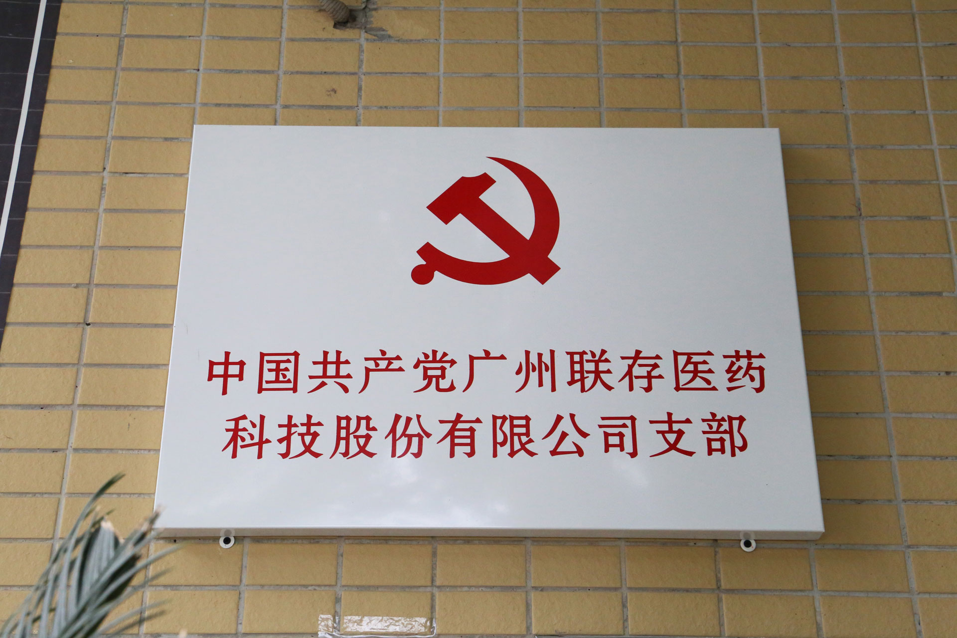 黨建引領凝聚力量，旗幟高舉爭先鋒 | 廣州聯存醫藥科技股份有限公司黨支部正式成立